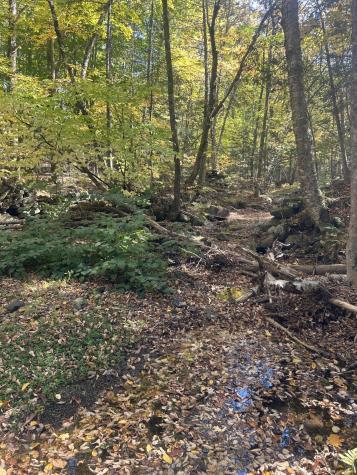 75 Twin Oaks Drive Saint Albans ME 04971