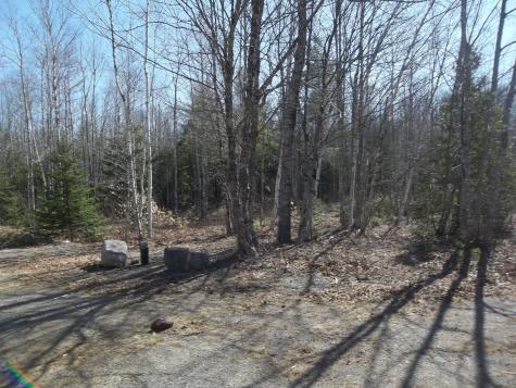 Off Route 192 Wesley ME 04686