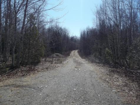 Off Route 192 Wesley ME 04686
