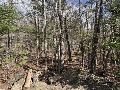 23 Tory Hill Road Phillips ME 04966
