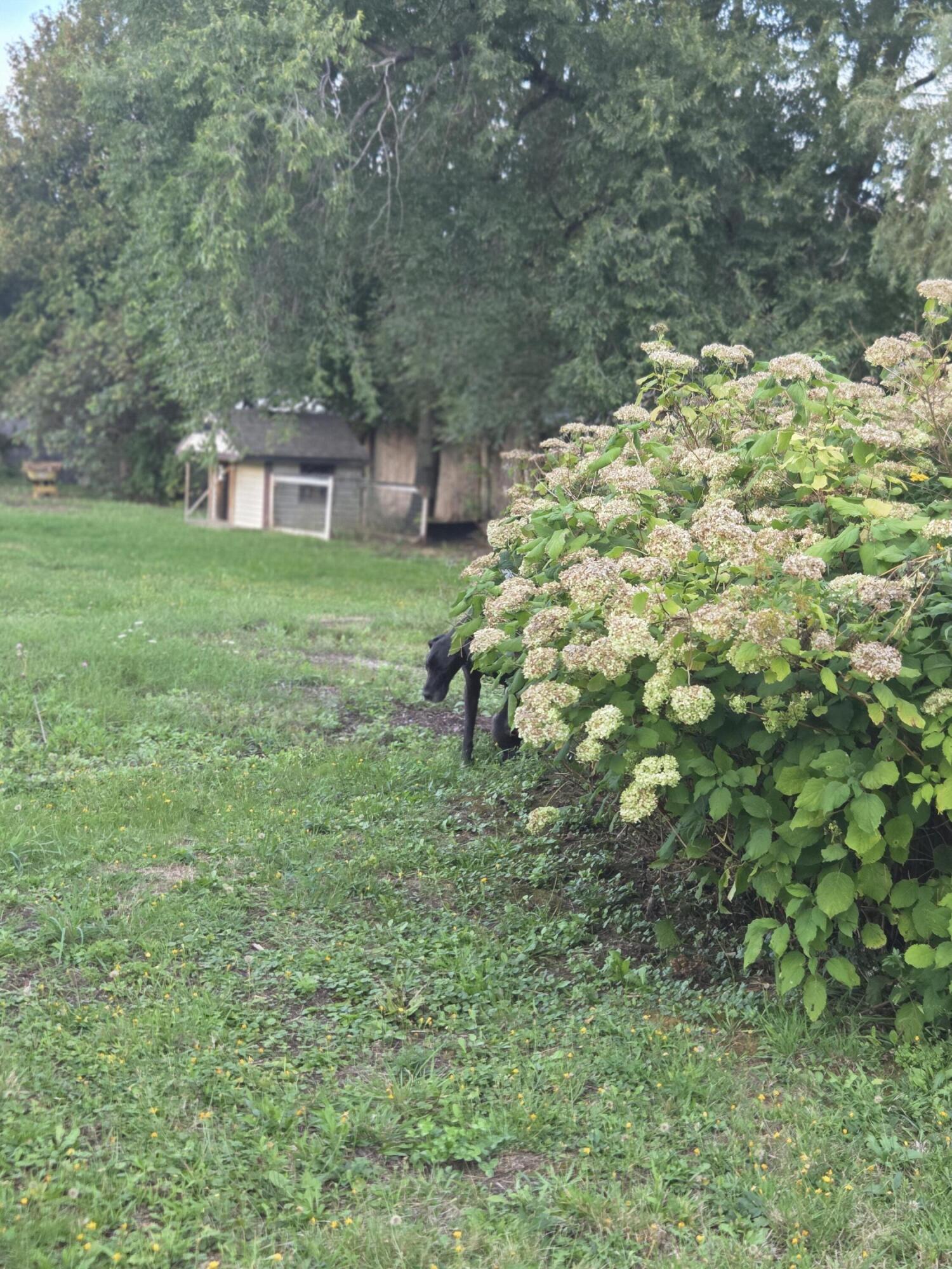 20 Burton Street Hartland ME 04943