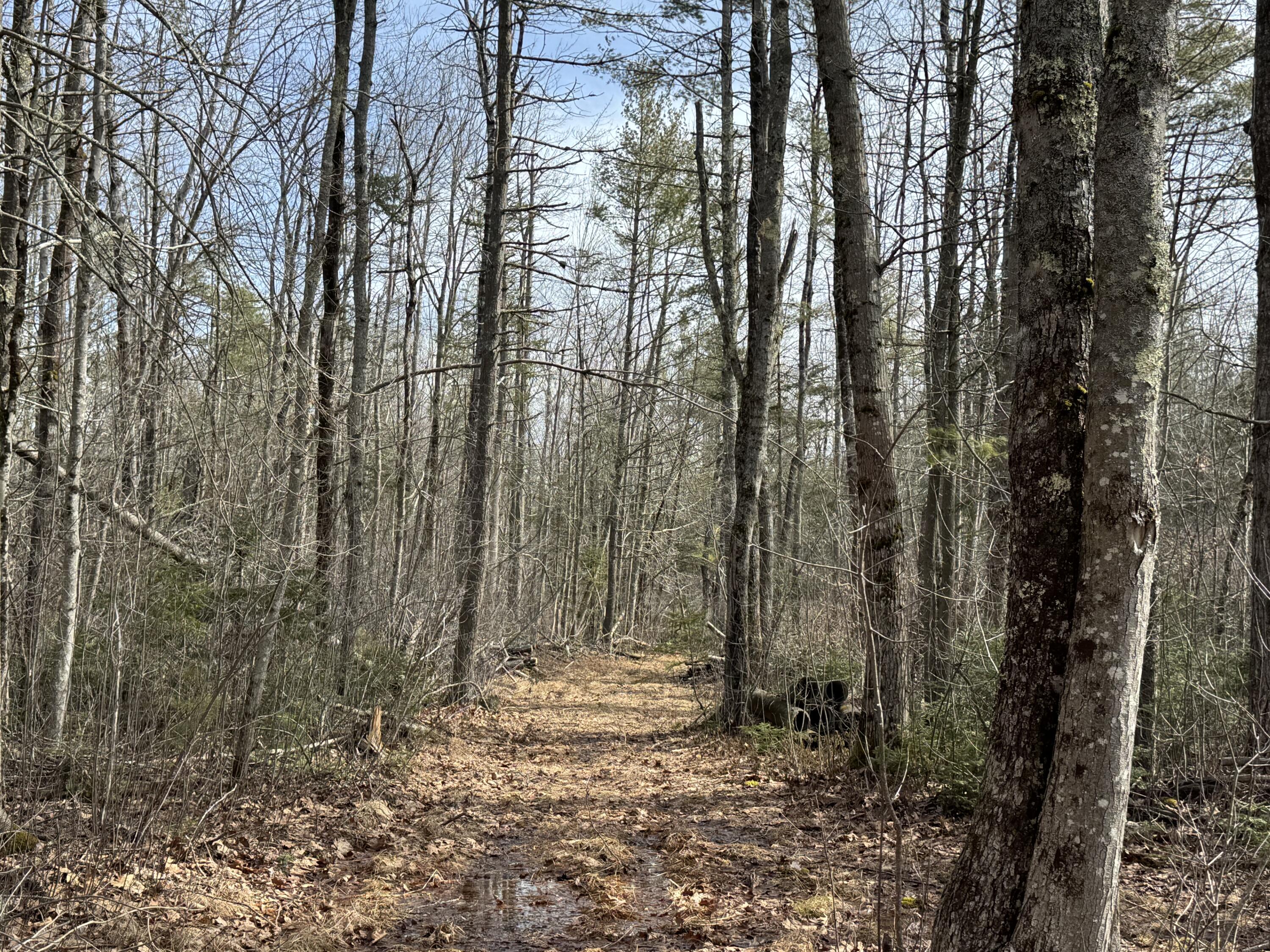 169 Log Cabin Road Kennebunkport ME 04046