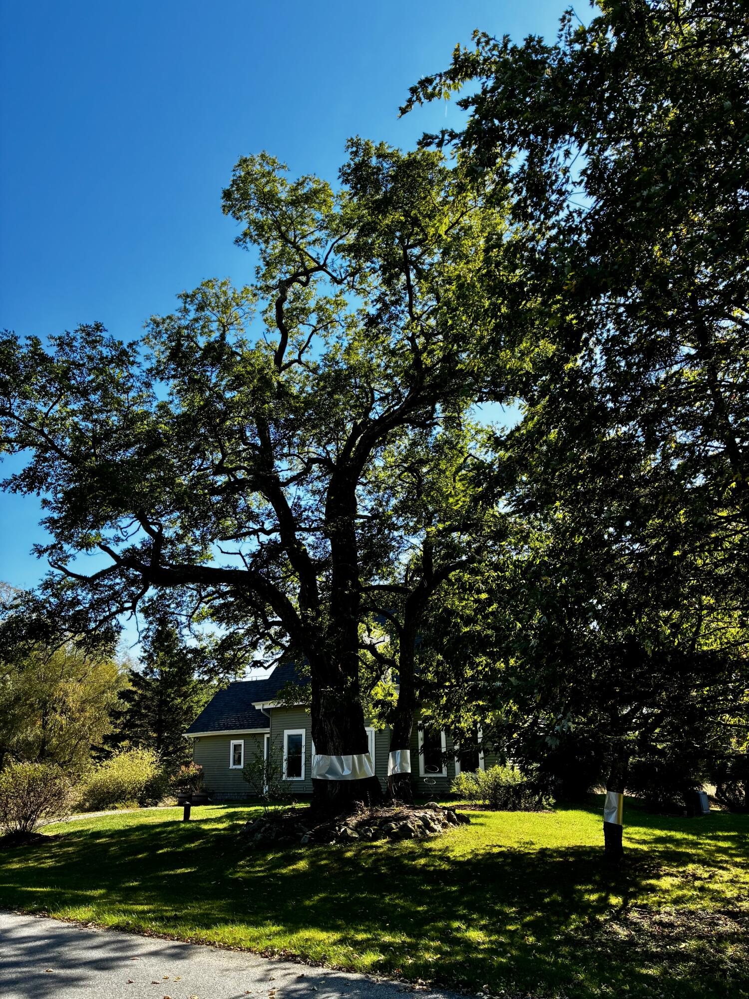 113 Wardwell Point Road Penobscot ME 04476