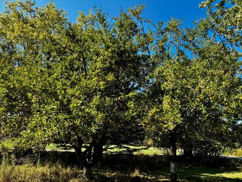 113 Wardwell Point Road Penobscot ME 04476