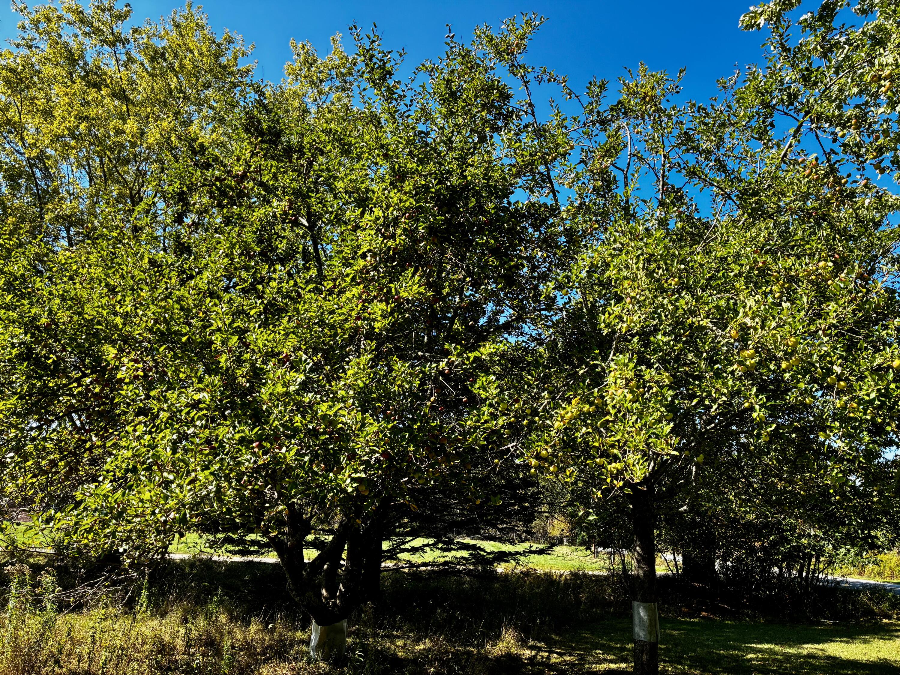 113 Wardwell Point Road Penobscot ME 04476