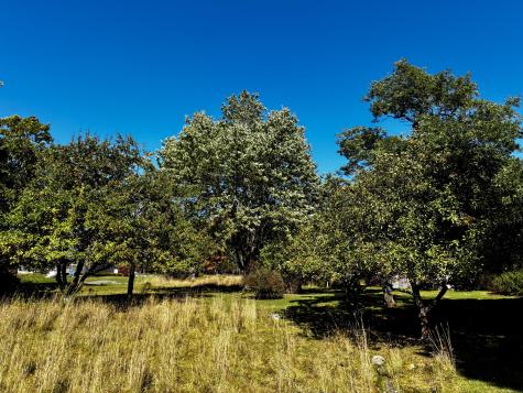 113 Wardwell Point Road Penobscot ME 04476