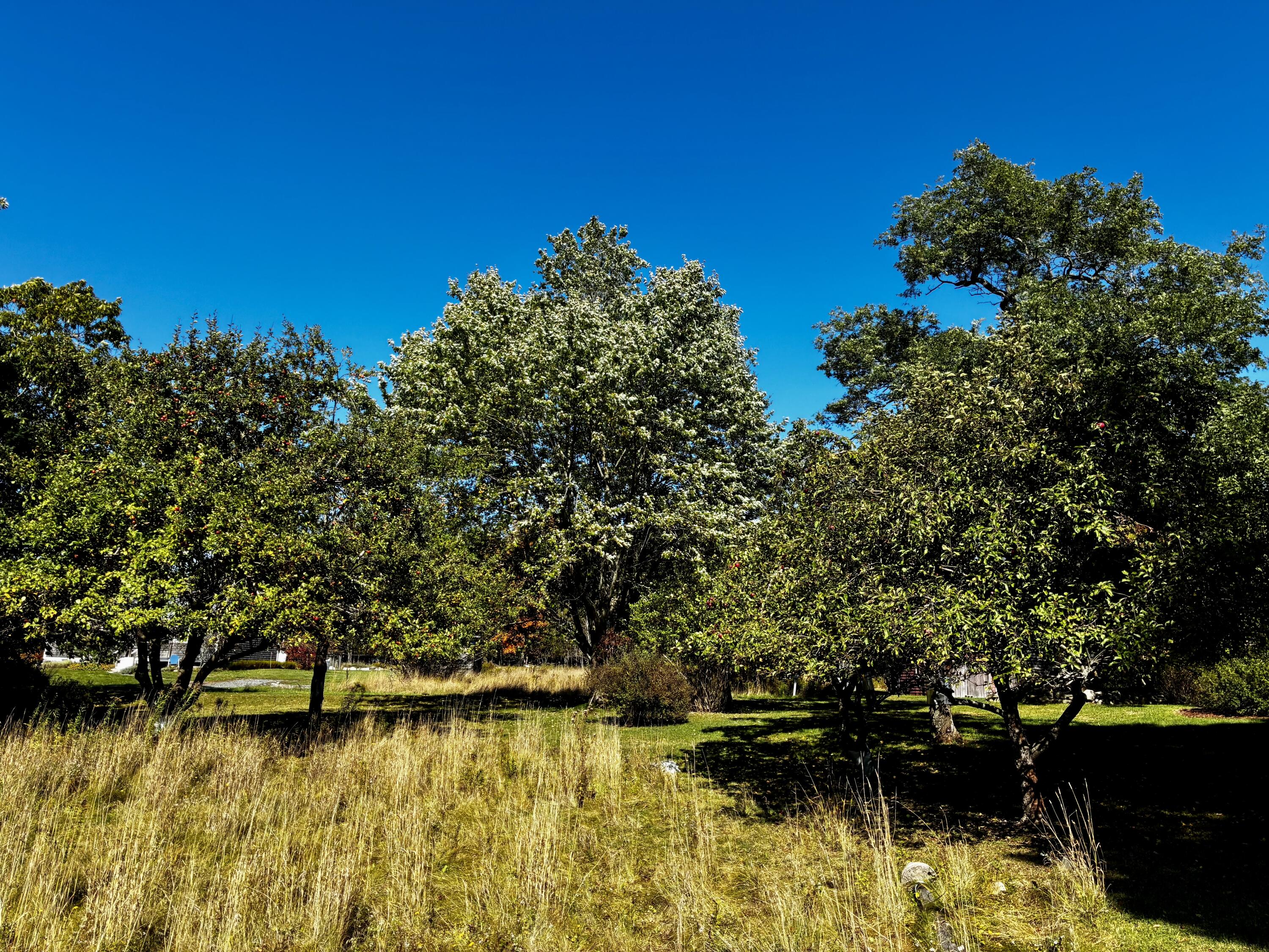 113 Wardwell Point Road Penobscot ME 04476