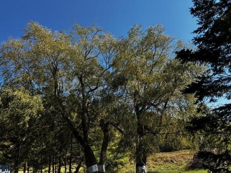 113 Wardwell Point Road Penobscot ME 04476