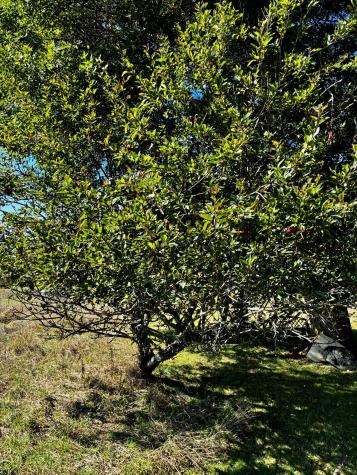 113 Wardwell Point Road Penobscot ME 04476