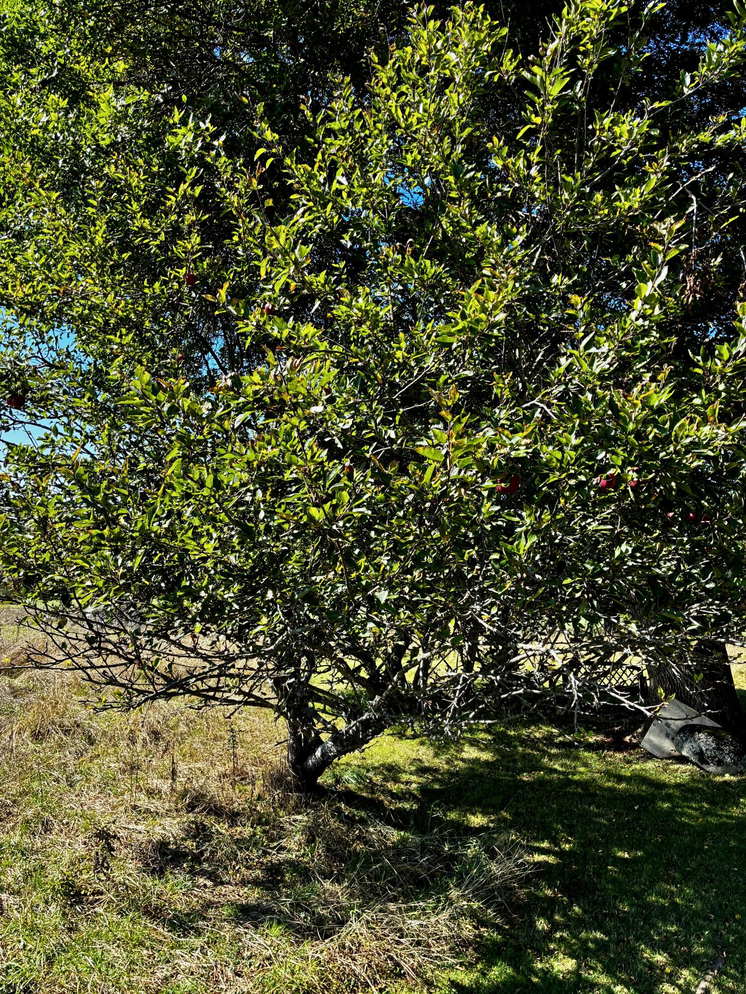 113 Wardwell Point Road Penobscot ME 04476