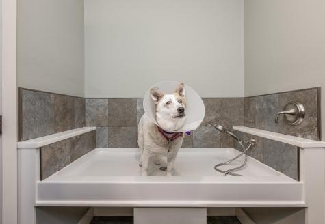 40 Garfield Road Minot ME 04258