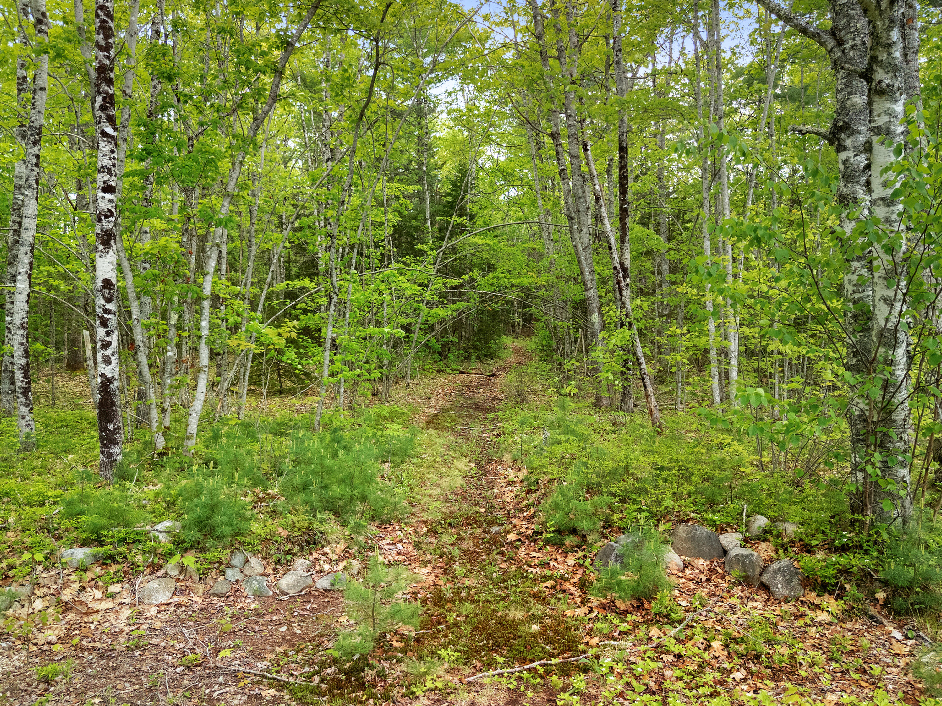 479 Niilo Hill Road Warren ME 04864