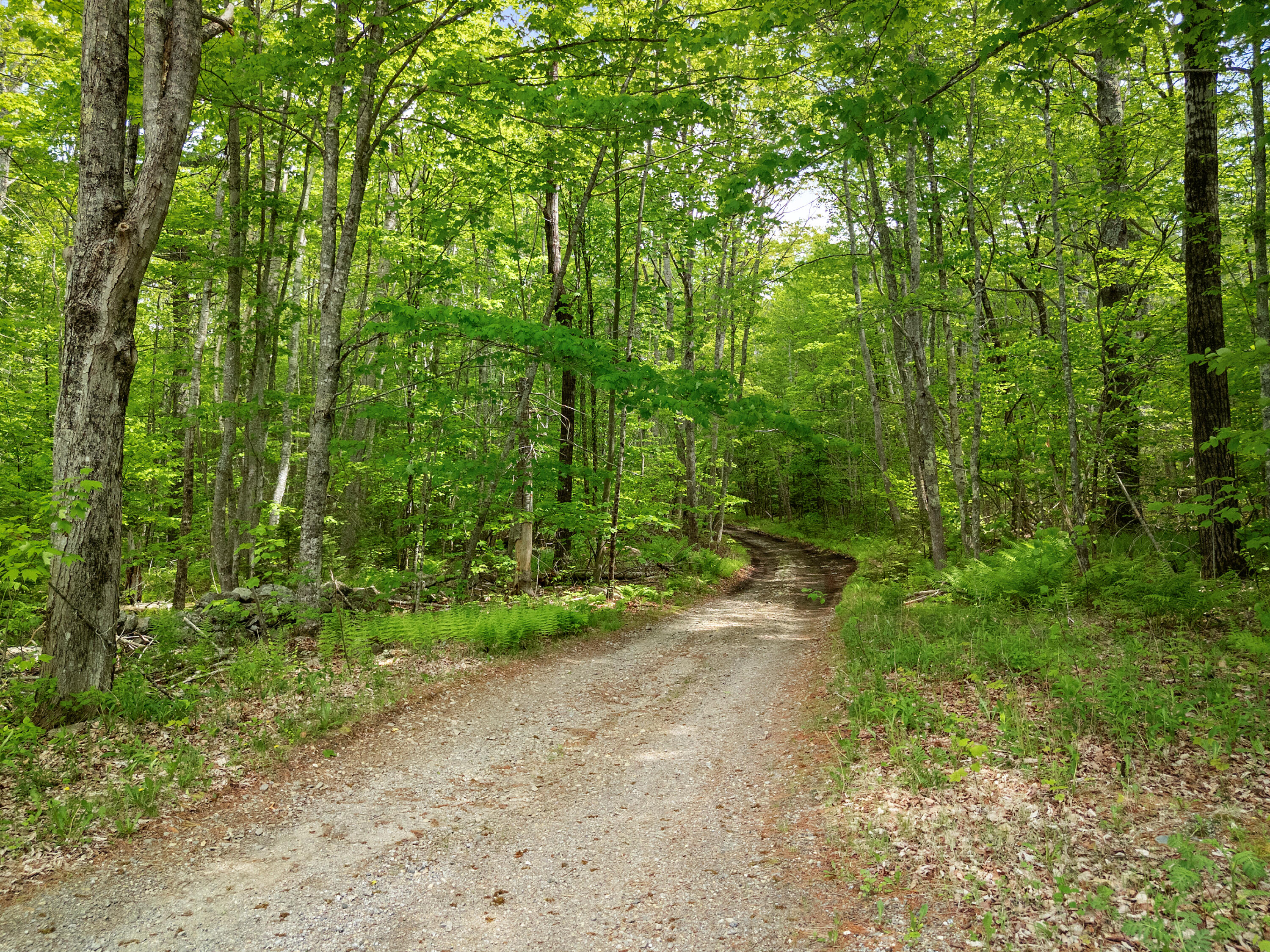 479 Niilo Hill Road Warren ME 04864