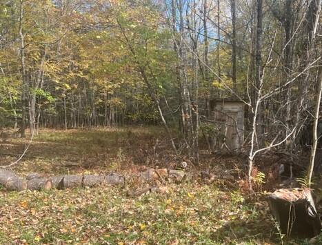 399 Steadmans Landing Road Dover-foxcroft ME 04426