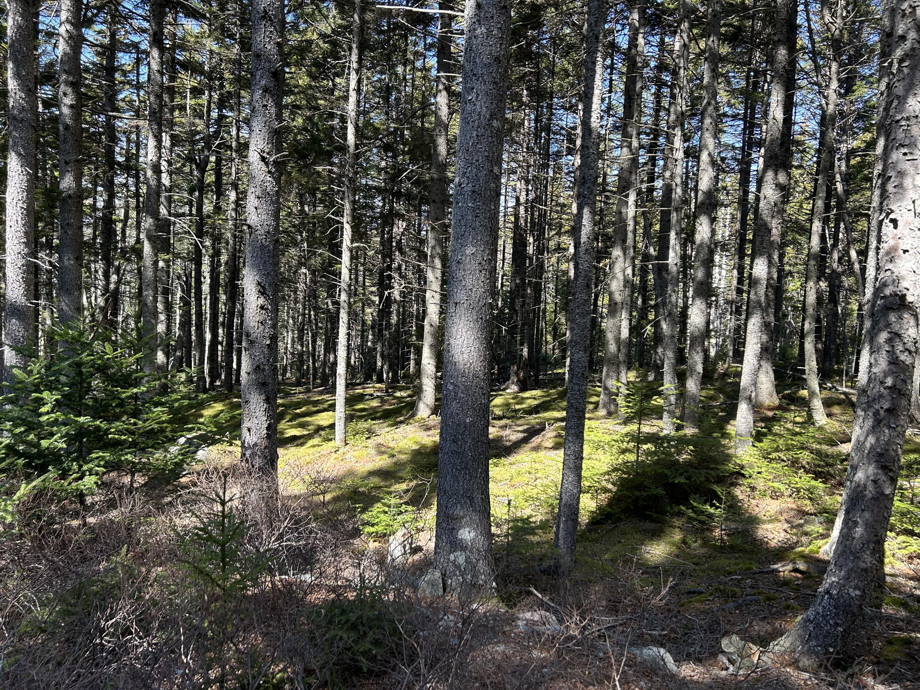 510 Grand Marsh Bay Road Gouldsboro ME 04607