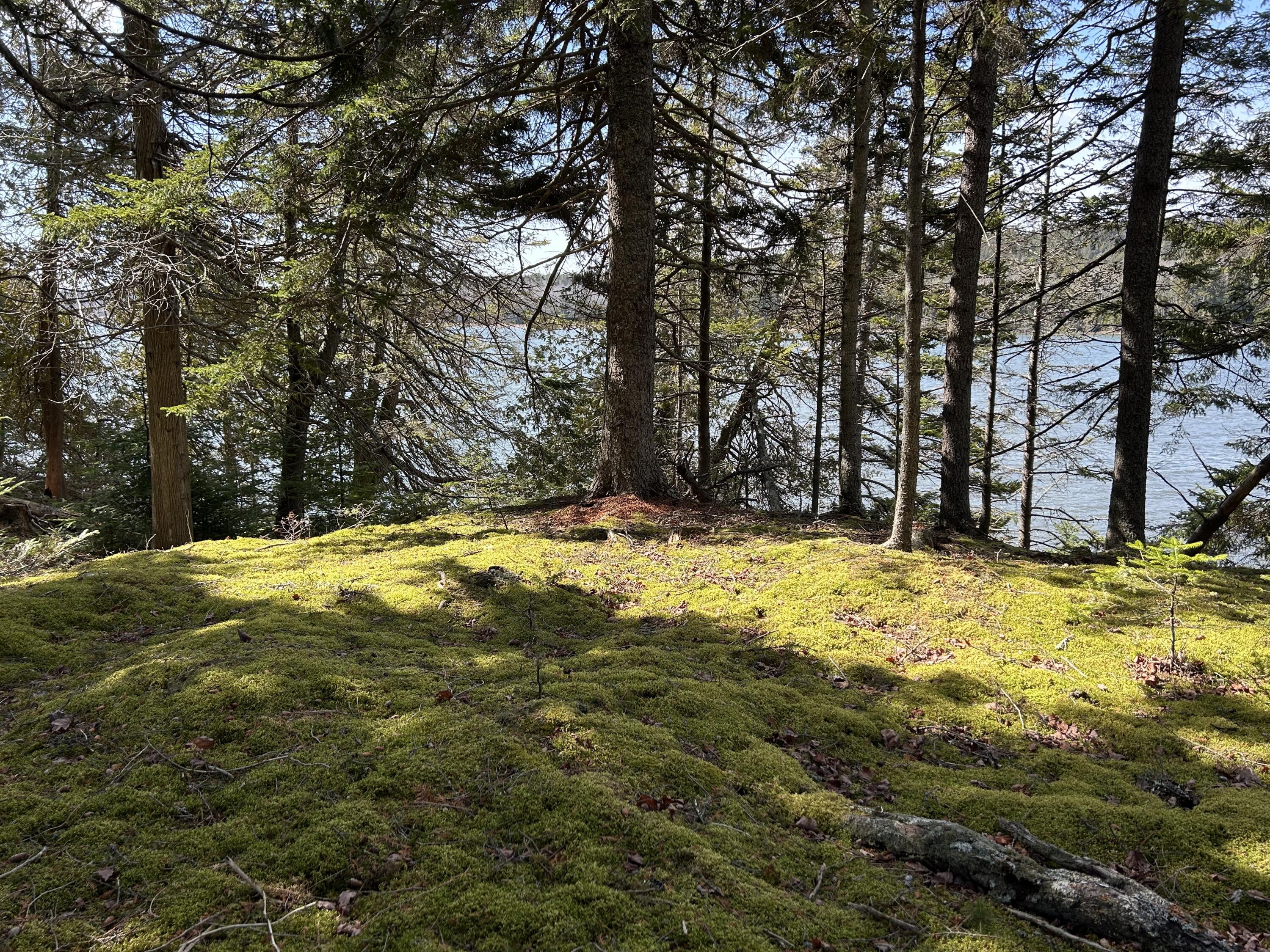 510 Grand Marsh Bay Road Gouldsboro ME 04607