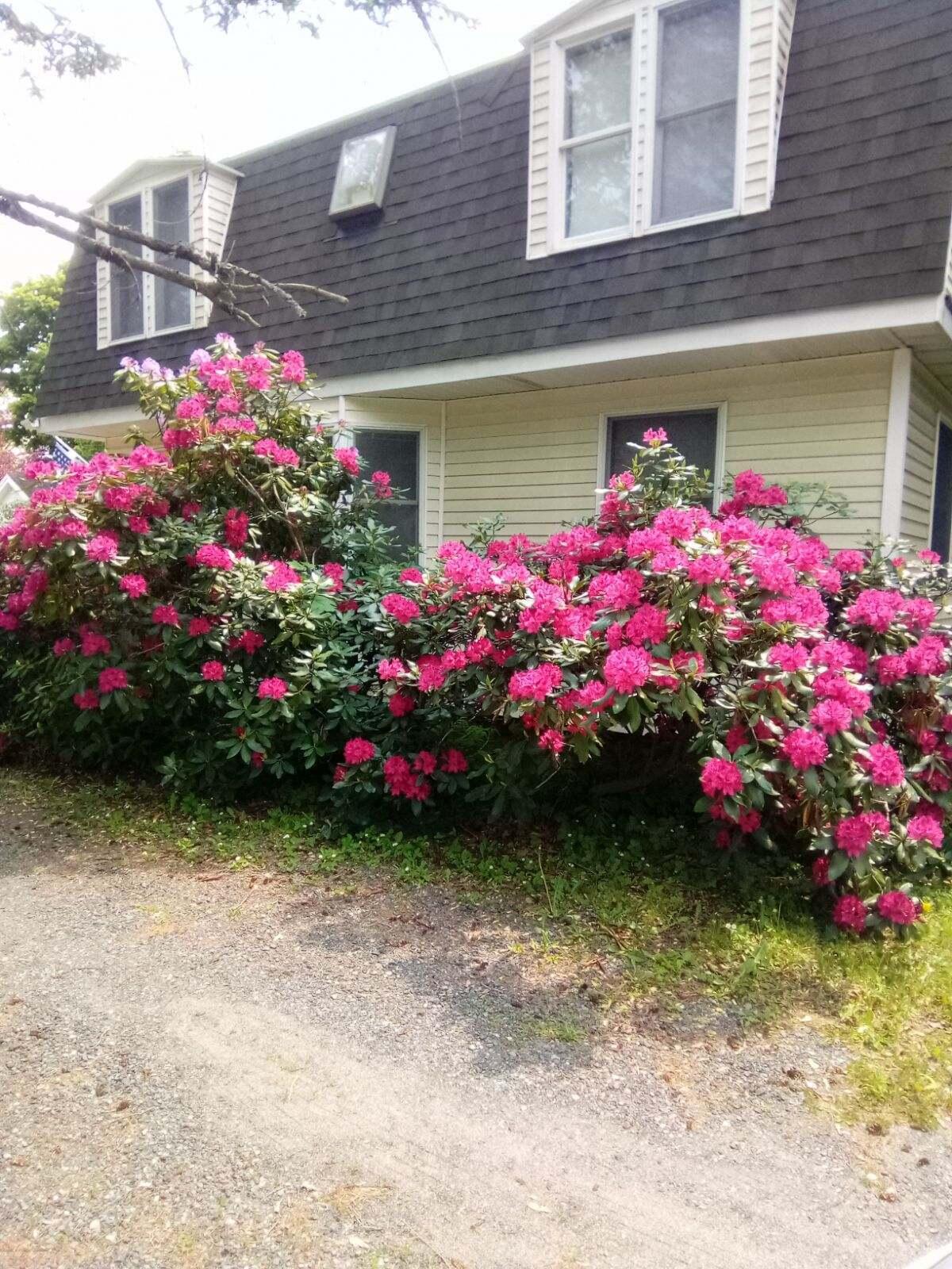 274 Buck Street Bangor ME 04401