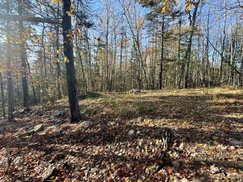 271 U.s. Route 1 Stockton Springs ME 04981