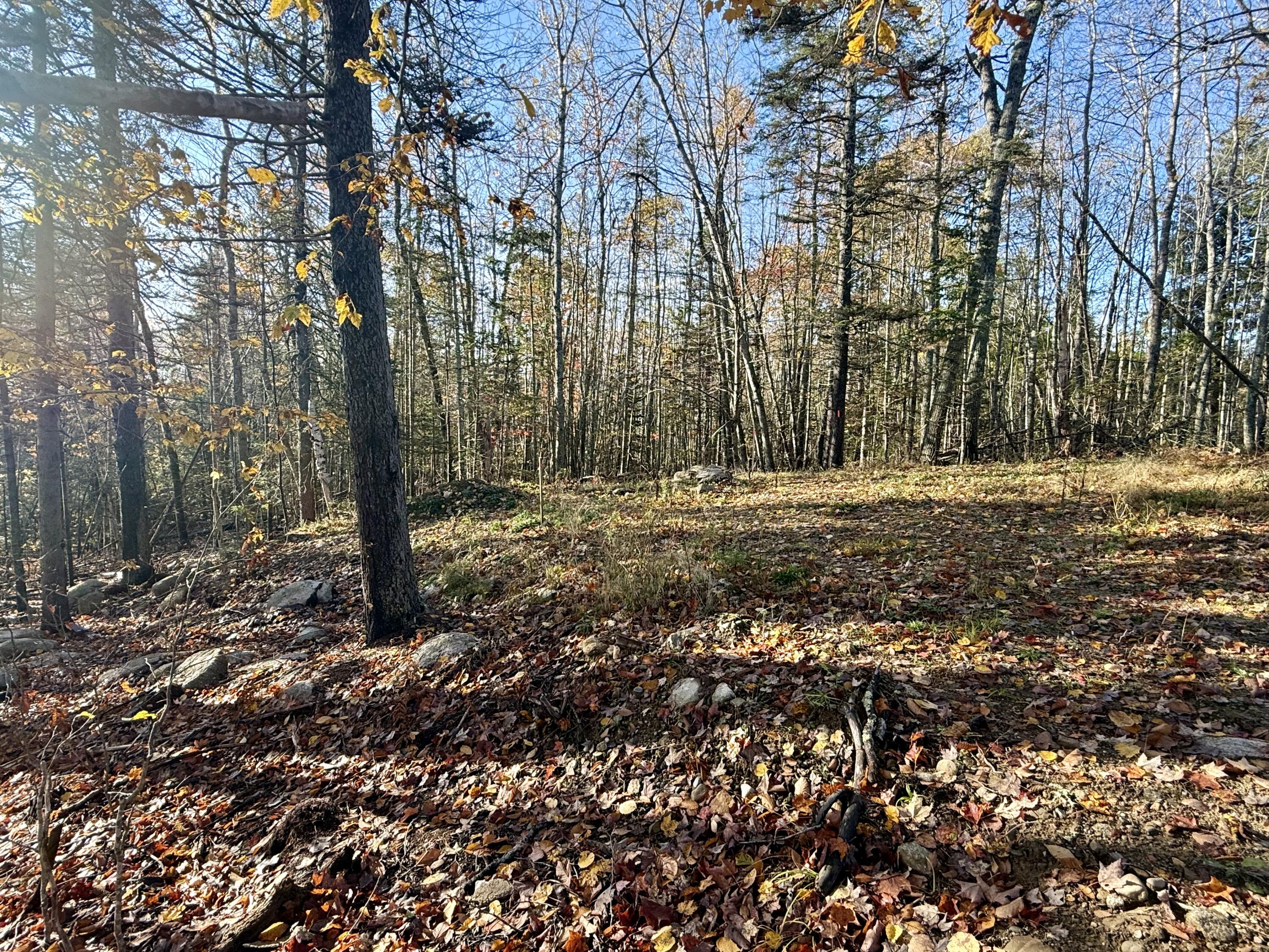 271 U.s. Route 1 Stockton Springs ME 04981