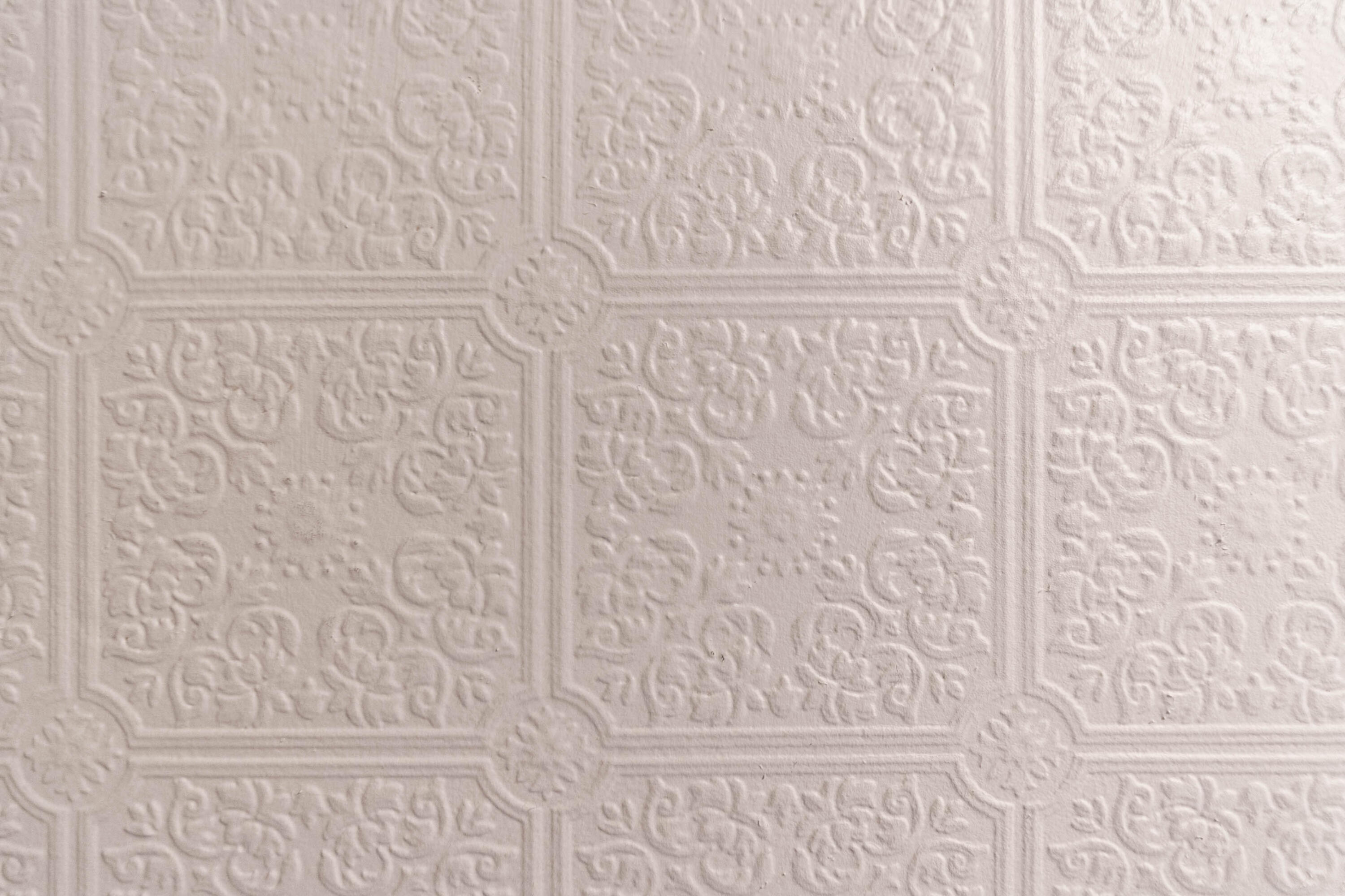 9 Alba Street Portland ME 04103