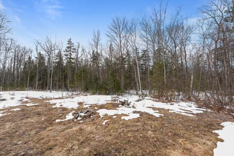 3 New England Road Abbot ME 04406