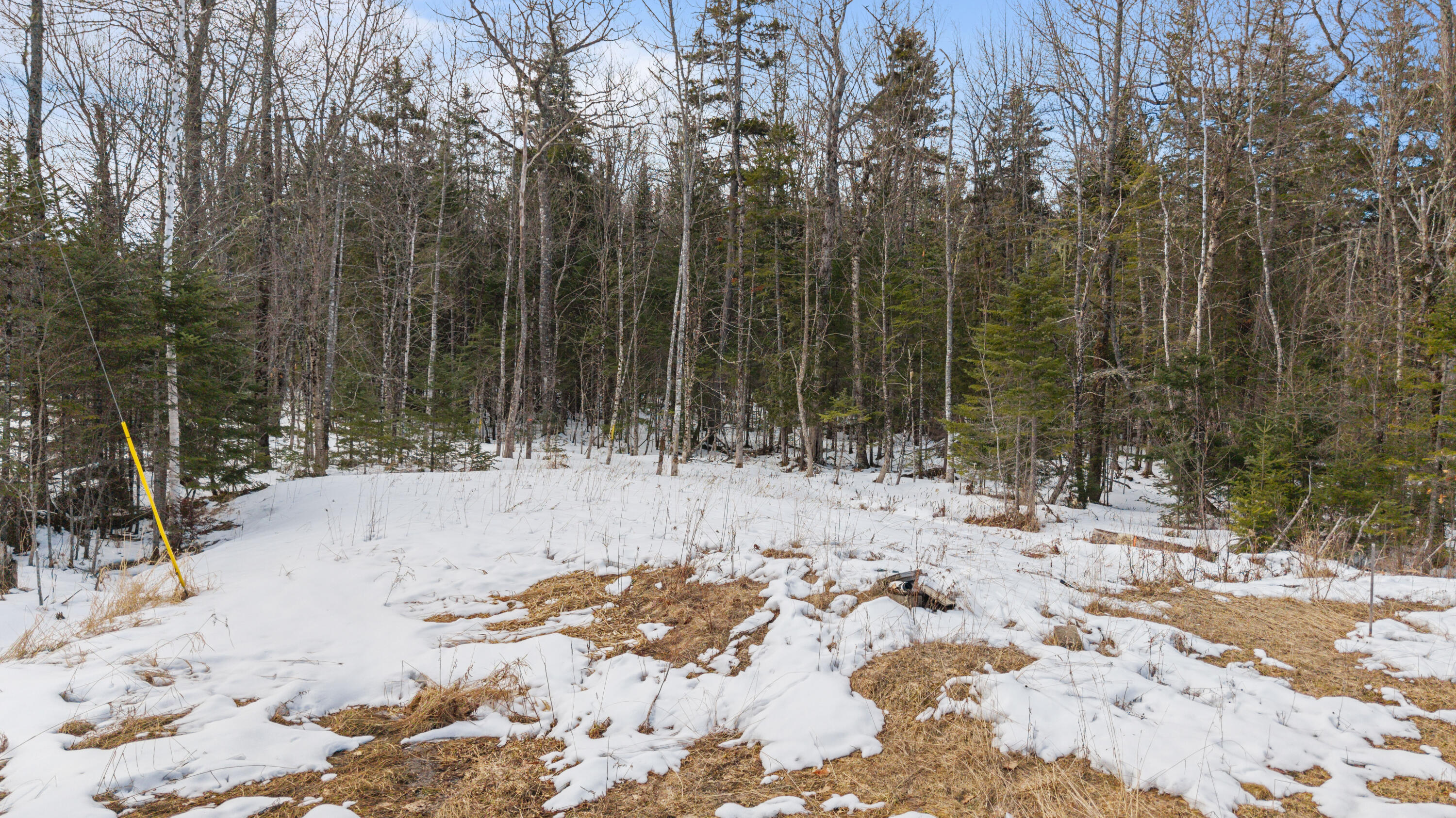 3 New England Road Abbot ME 04406