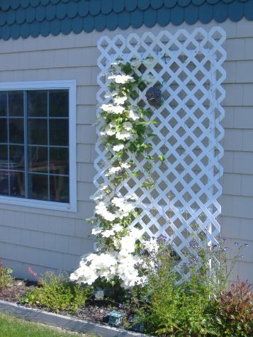 61 Wilders Way Jonesport ME 04649