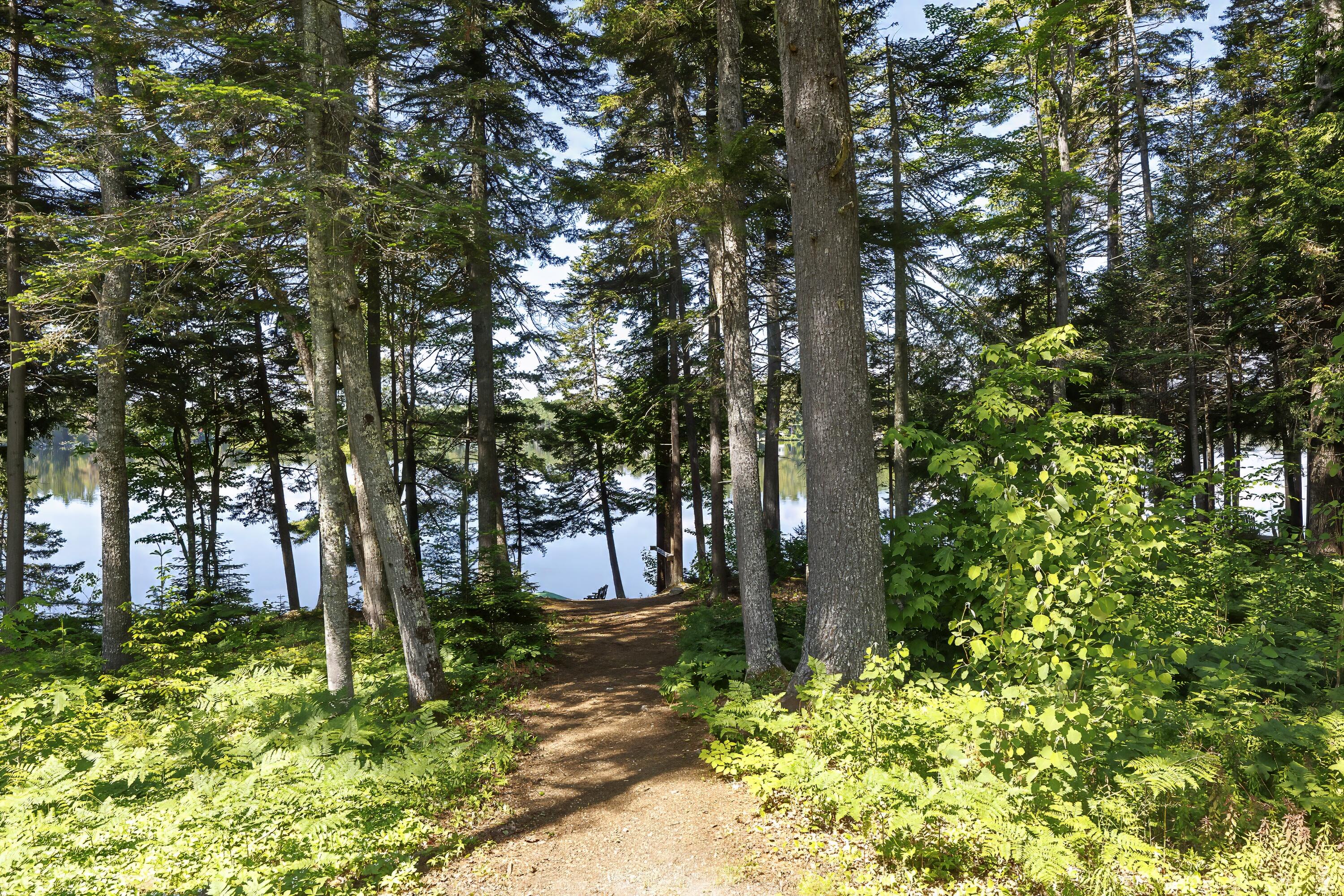 162 Georges Pond Road Franklin ME 04634