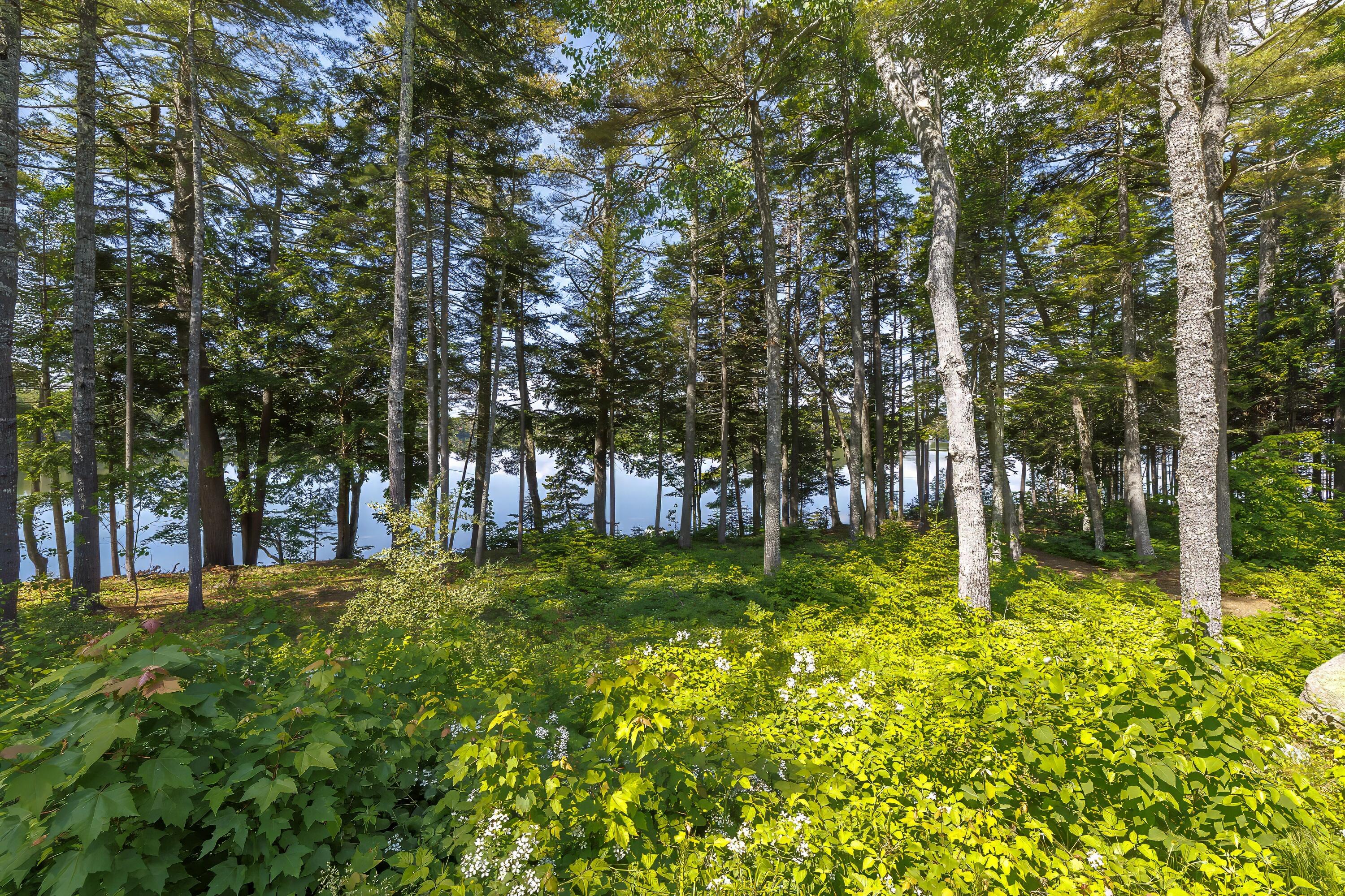 162 Georges Pond Road Franklin ME 04634