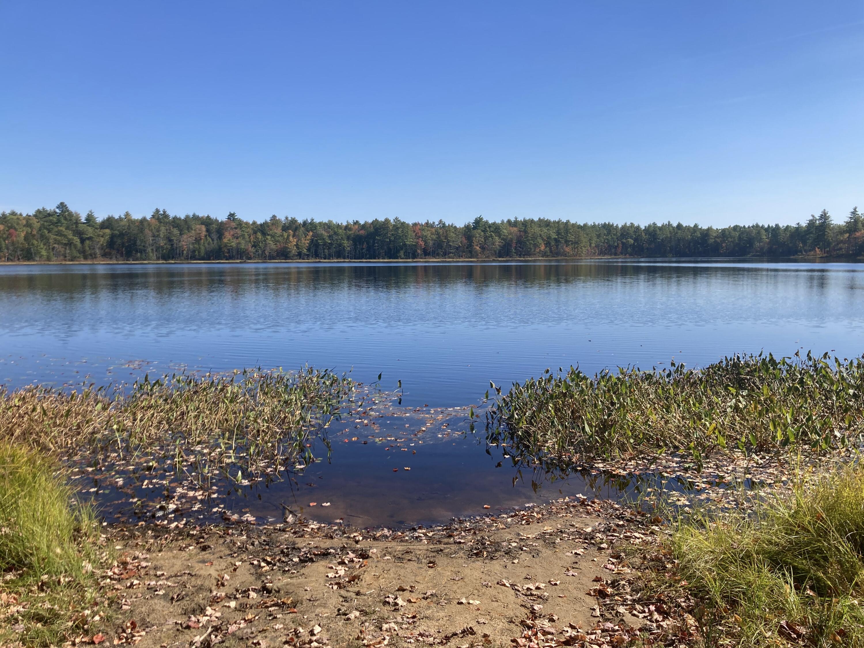 17 Spruce Lane Limington ME 04049