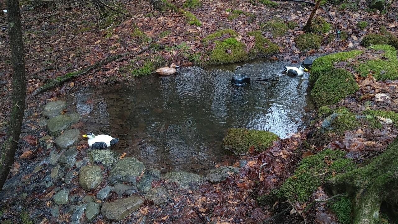 0 Pond View Drive Garland ME 04939