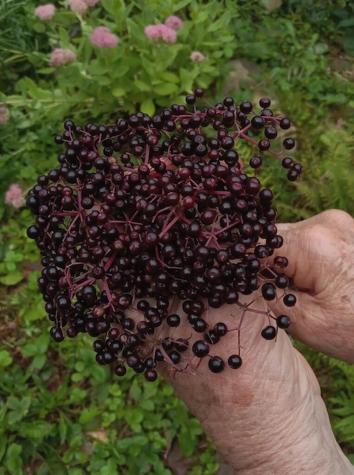 0 Pond View Drive Garland ME 04939