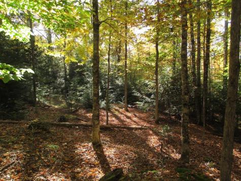 0 Pond View Drive Garland ME 04939