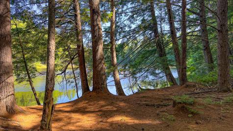 839 Lovell Road Lovell ME 04051