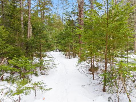 106 Woodfield Way Ellsworth ME 04605