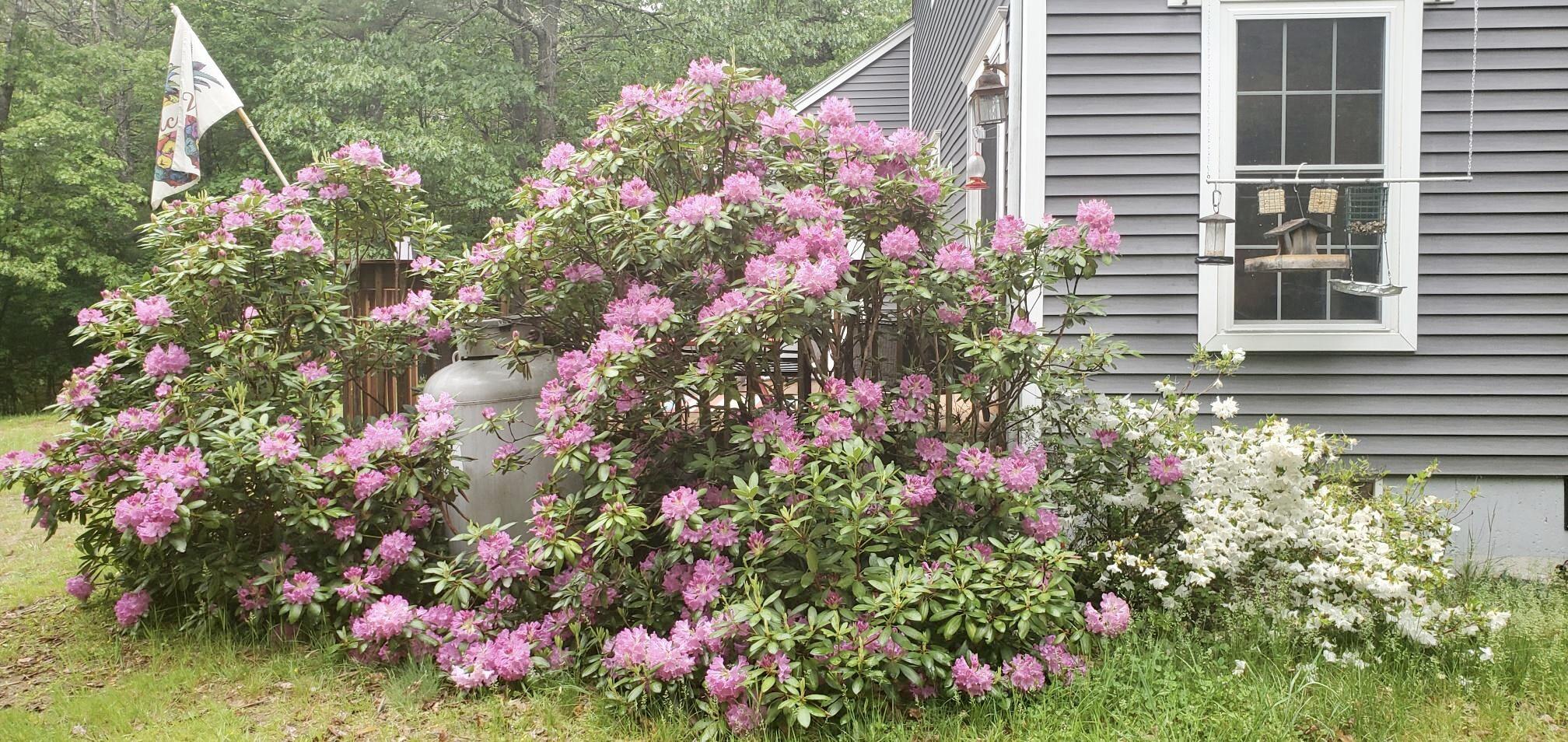 83 Brown Road Raymond ME 04071