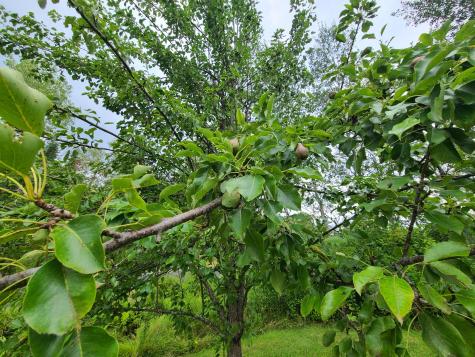 266 Forest City Road Brookton Twp ME 04413