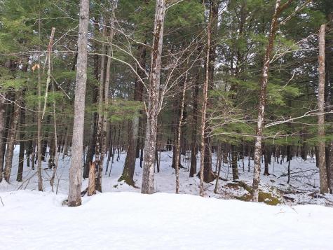 Lot 7b Highland Pines Road Bridgton ME 04009