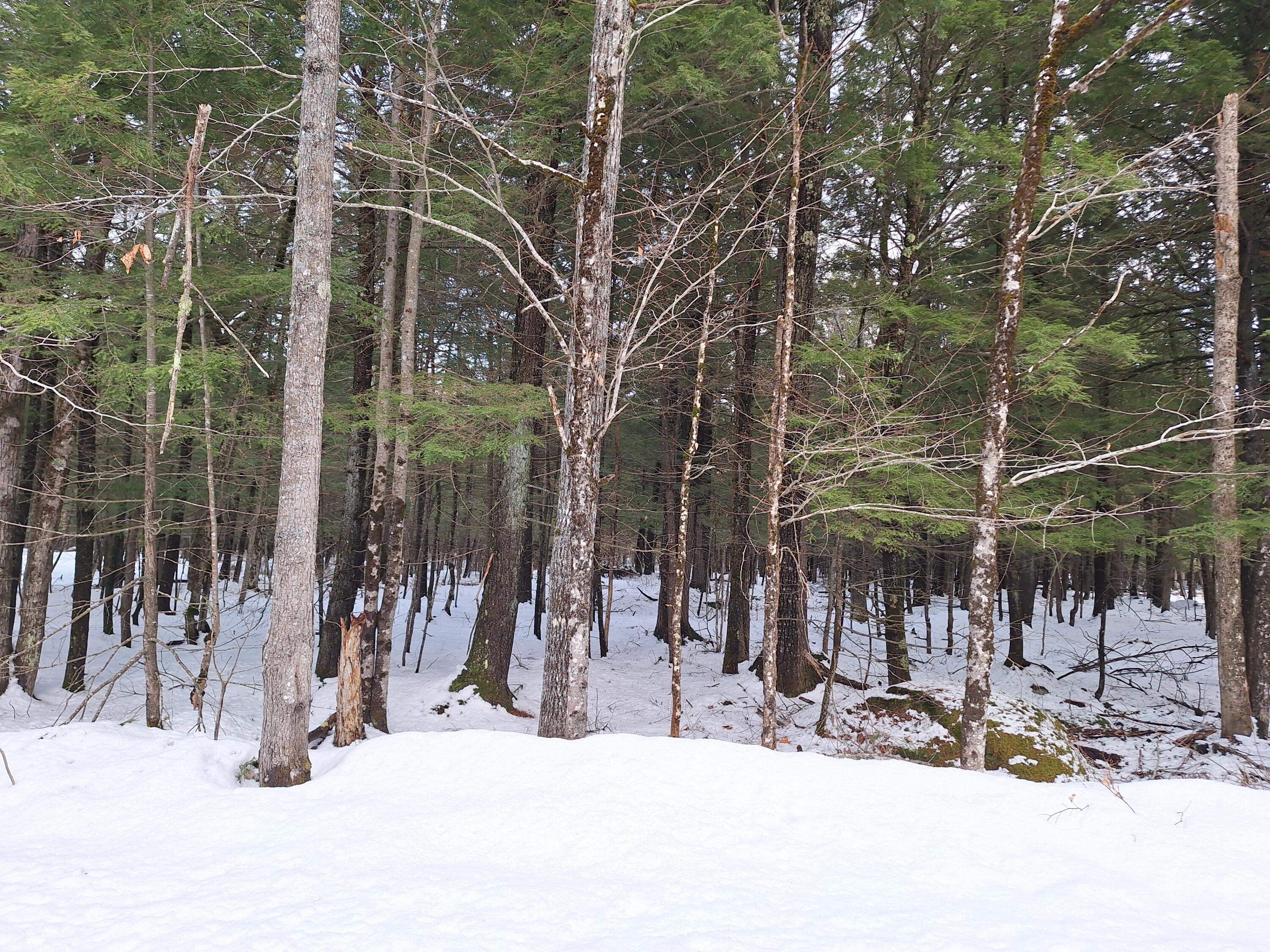 Lot 7b Highland Pines Road Bridgton ME 04009