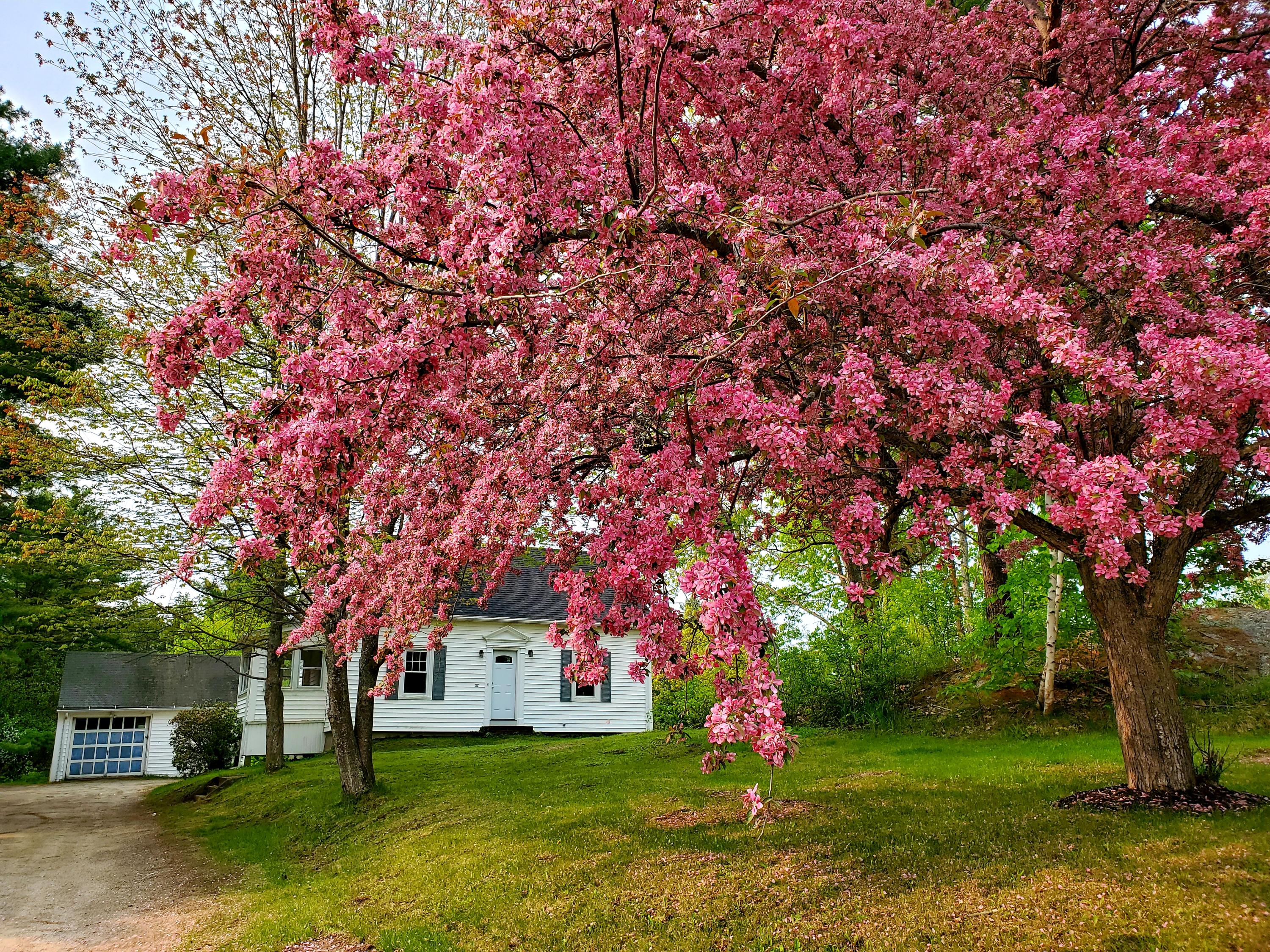 1357 Sabattus Street Lewiston ME 04240