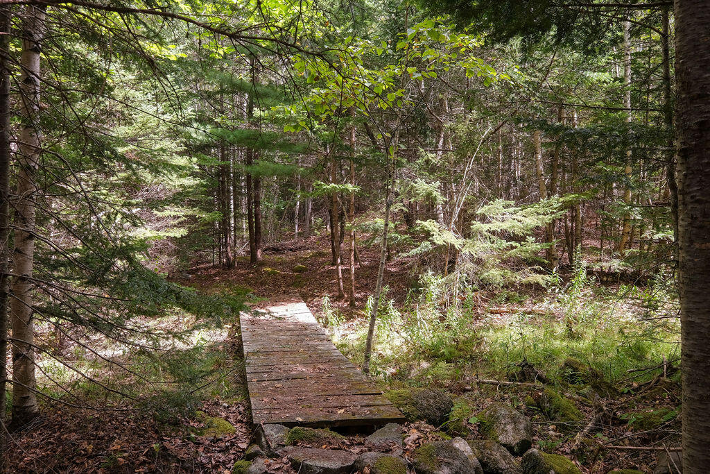 565 Bagaduce Road Brooksville ME 04617