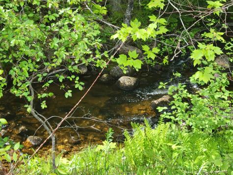 78 Coburn Brook Road Rumford ME 04276