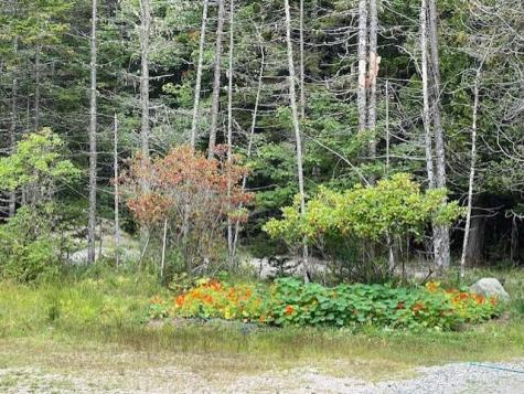 604 Duck Cove Road Roque Bluffs ME 04654