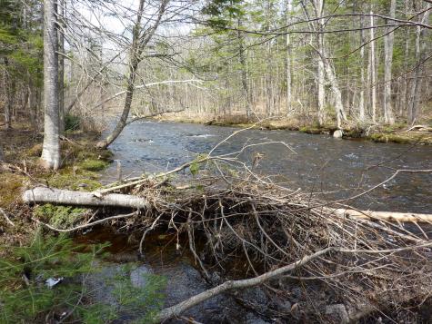 17 Kingsbury Road Wellington ME 04942