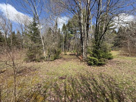 848 Bancroft Road Weston ME 04424