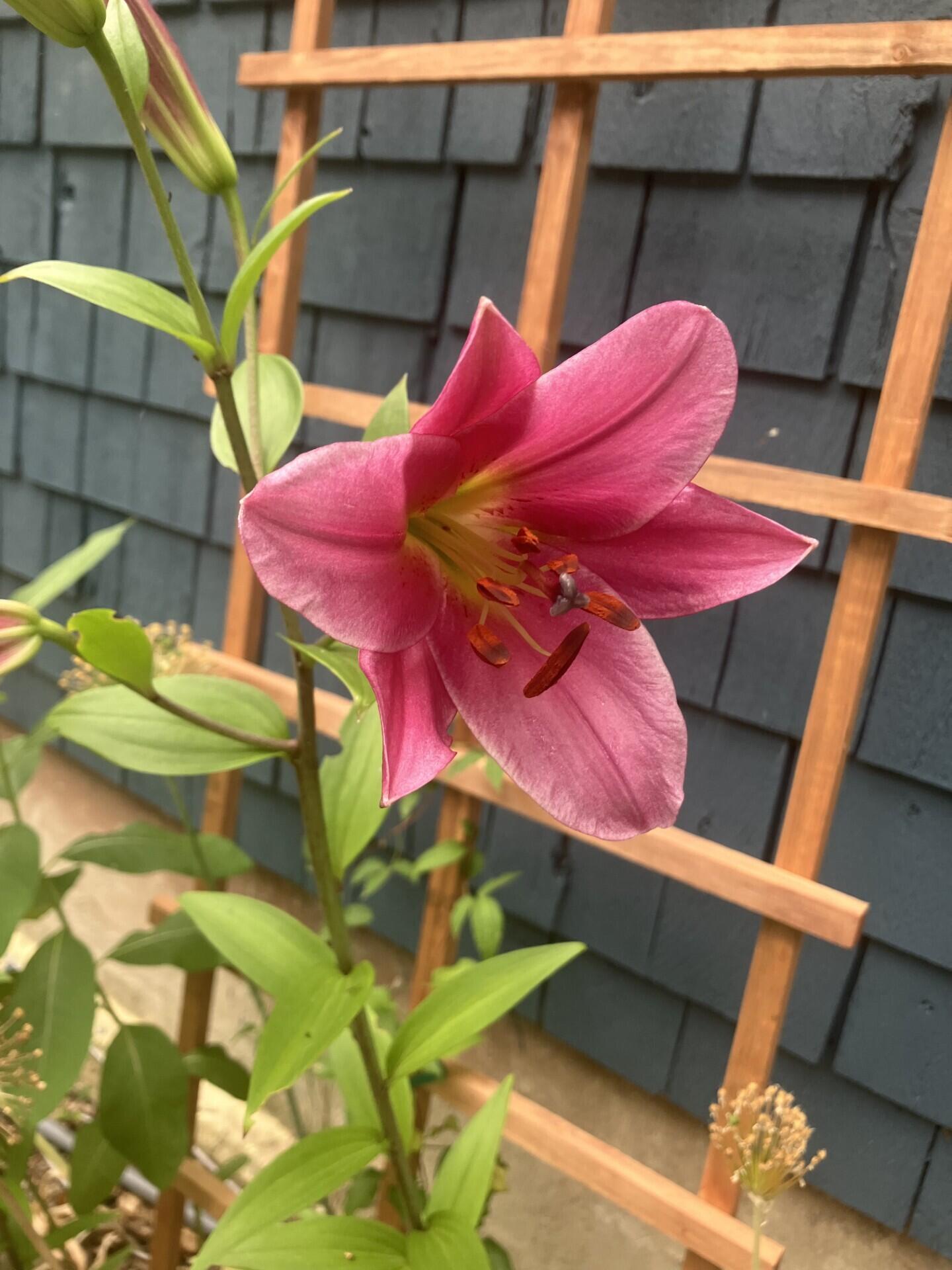 41 Rowe Brook Road Dedham ME 04429