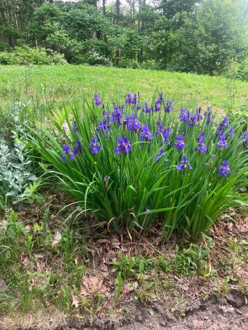 41 Rowe Brook Road Dedham ME 04429