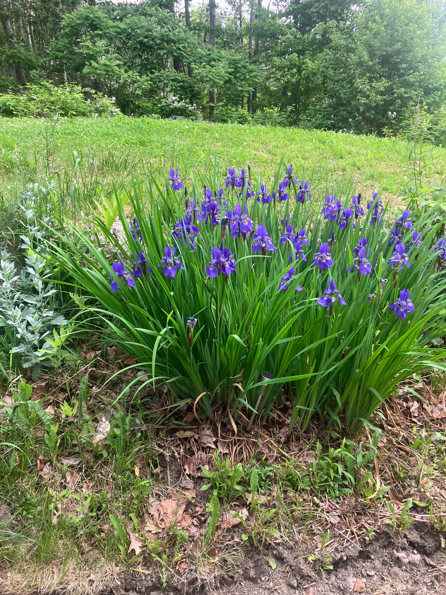 41 Rowe Brook Road Dedham ME 04429