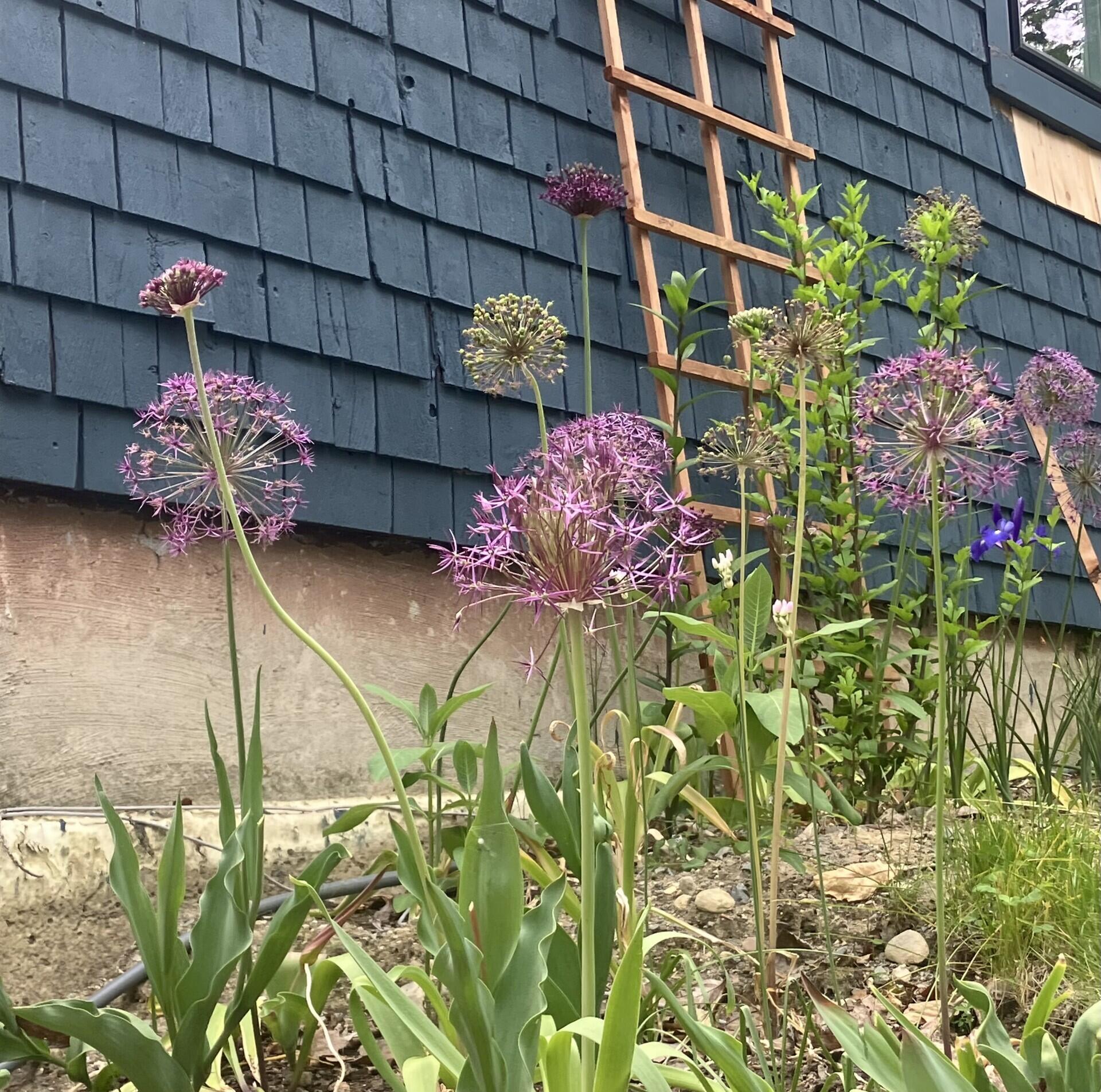 41 Rowe Brook Road Dedham ME 04429