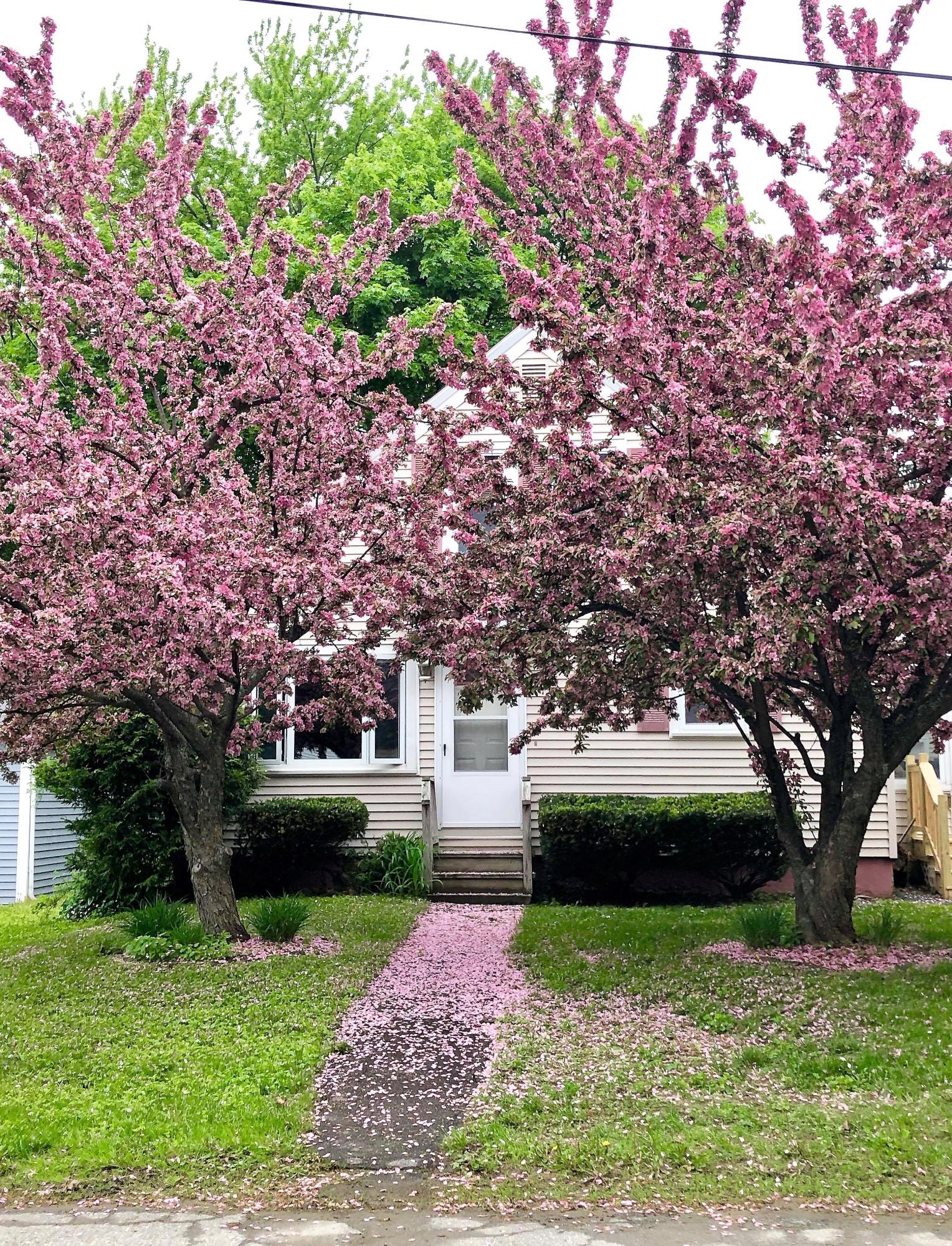 9 Verdun Street Fairfield ME 04937